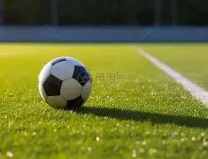 入门者必备,资深玩家同,影驰年末电,乐鱼体育官网,乐鱼体育直播,体育赛事直播,足球直播