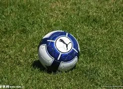 东城二小篮,球联赛灞桥,区摘得优异,乐鱼体育官网,乐鱼体育直播,体育赛事直播,足球直播