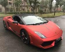 轮椅上的温,情守护,爱意无疆,乐鱼体育官网,乐鱼体育直播,体育赛事直播,足球直播