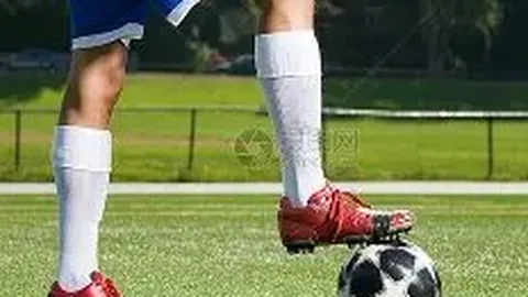 乐鱼体育 产品 095813 ug3