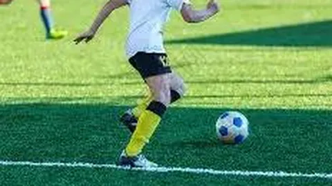 乐鱼体育 资讯 100244 duy