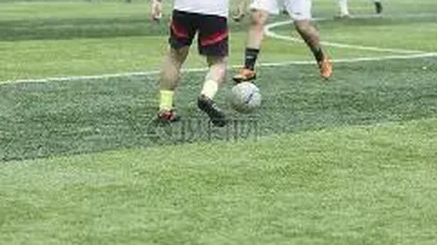 乐鱼体育 资讯 100555 w06