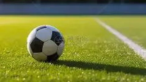 乐鱼体育 资讯 100608 vzl