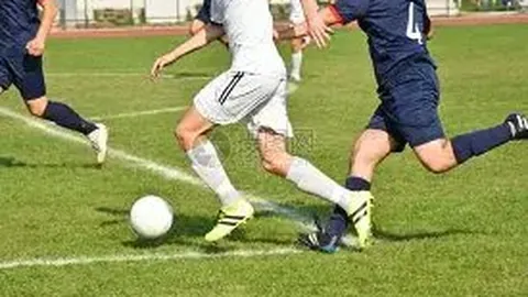 钼精矿行情图谱