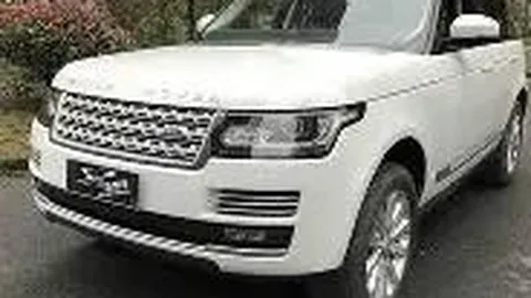 轮椅上的温情守护：爱意无疆